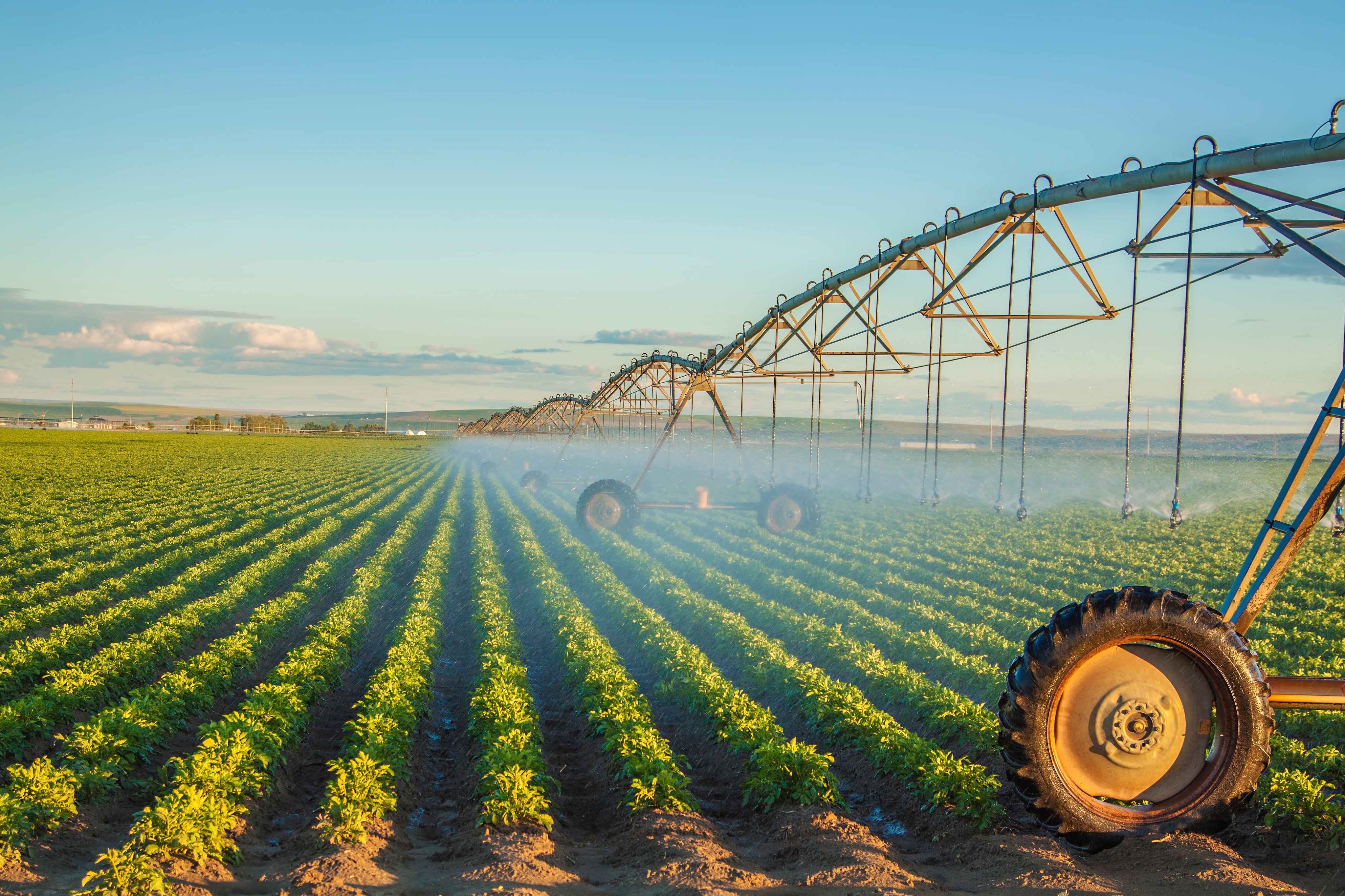 A pivot going around a corn field