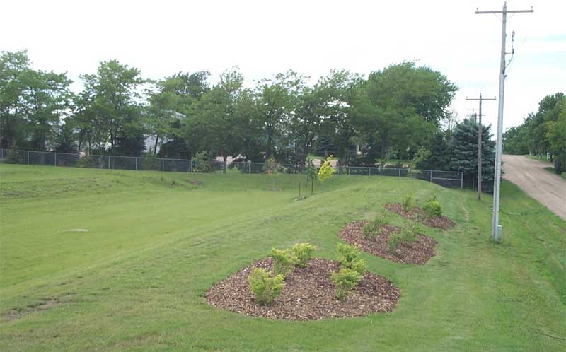 Picture of a yard with newly planted trees