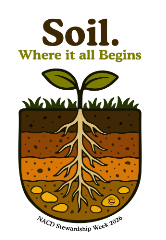 Soil. Where it all begins.