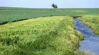 grass alongside a stream buffering the crops from the water