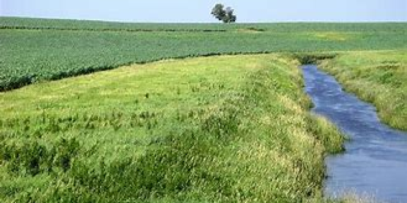 grass alongside a stream buffering the crops from the water