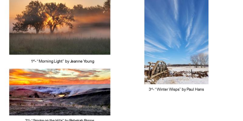 3 photos of the photography contest winning photos